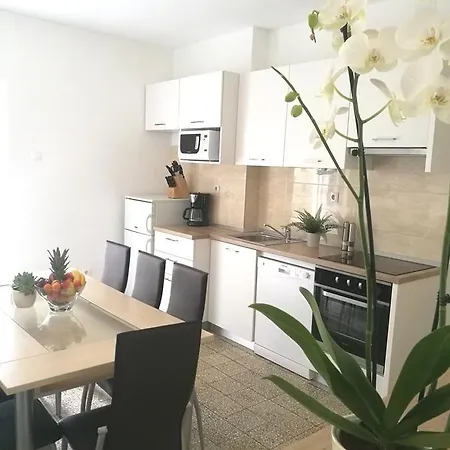 Apartment Authentic Dalmatian House