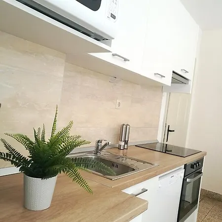 Authentic Dalmatian House Apartment