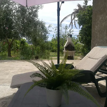 Authentic Dalmatian House